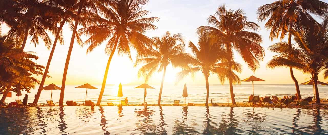 luxury swimming pool with palm trees