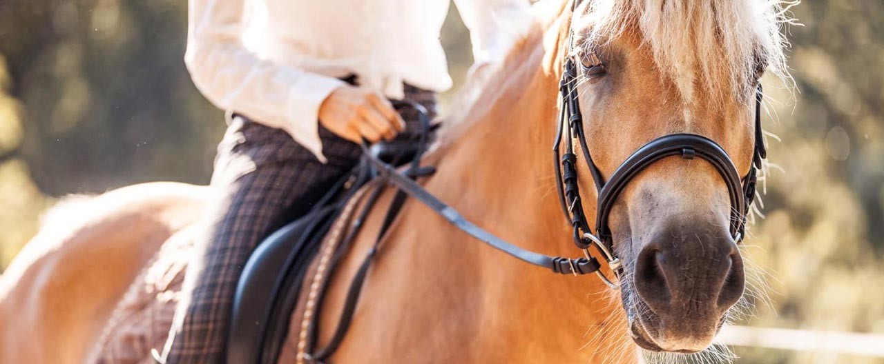 guy riding a horse