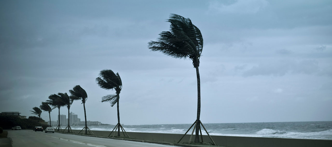 hurricane winds pound the shore